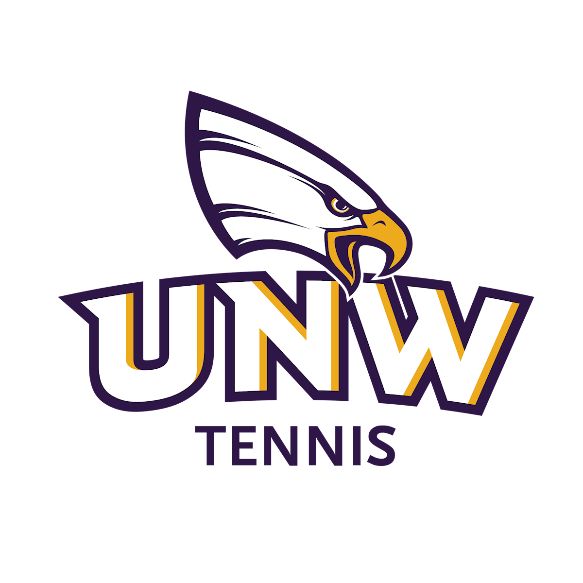 Read more about the article Junior Tennis Tournament University of Northwestern